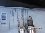 R20110213_C5_IMG_1314.jpg
