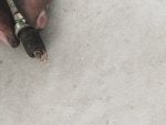 IMG_20200708_121836.jpg