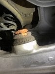 IMG_3387.jpeg